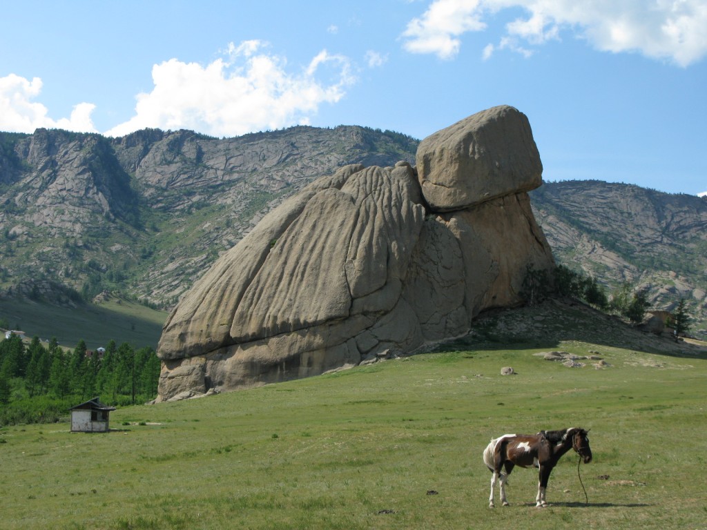 巨大亀岩