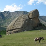 巨大亀岩